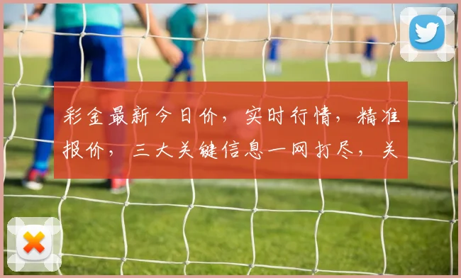 彩金最新今日价，实时行情，精准报价，三大关键信息一网打尽，关注必看