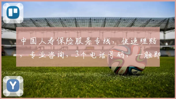 中国人寿保险服务专线，快速理赔，专业咨询，3个电话号码，一触即达，服务无忧。