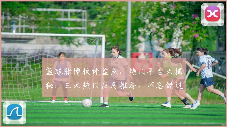 篮球赌博软件盘点，热门平台大揭秘，三大热门应用推荐，不容错过